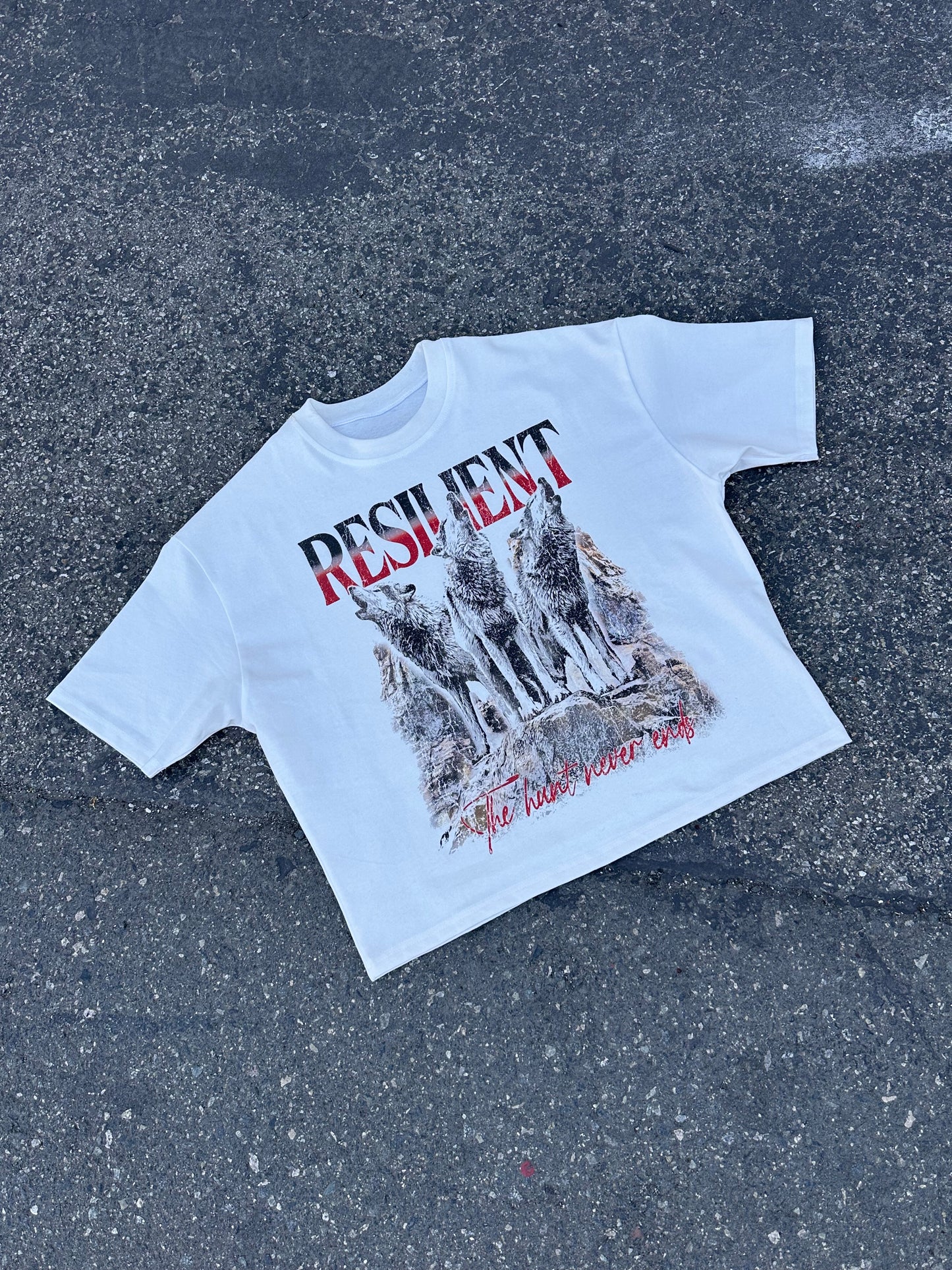 The Hunt Never Ends T