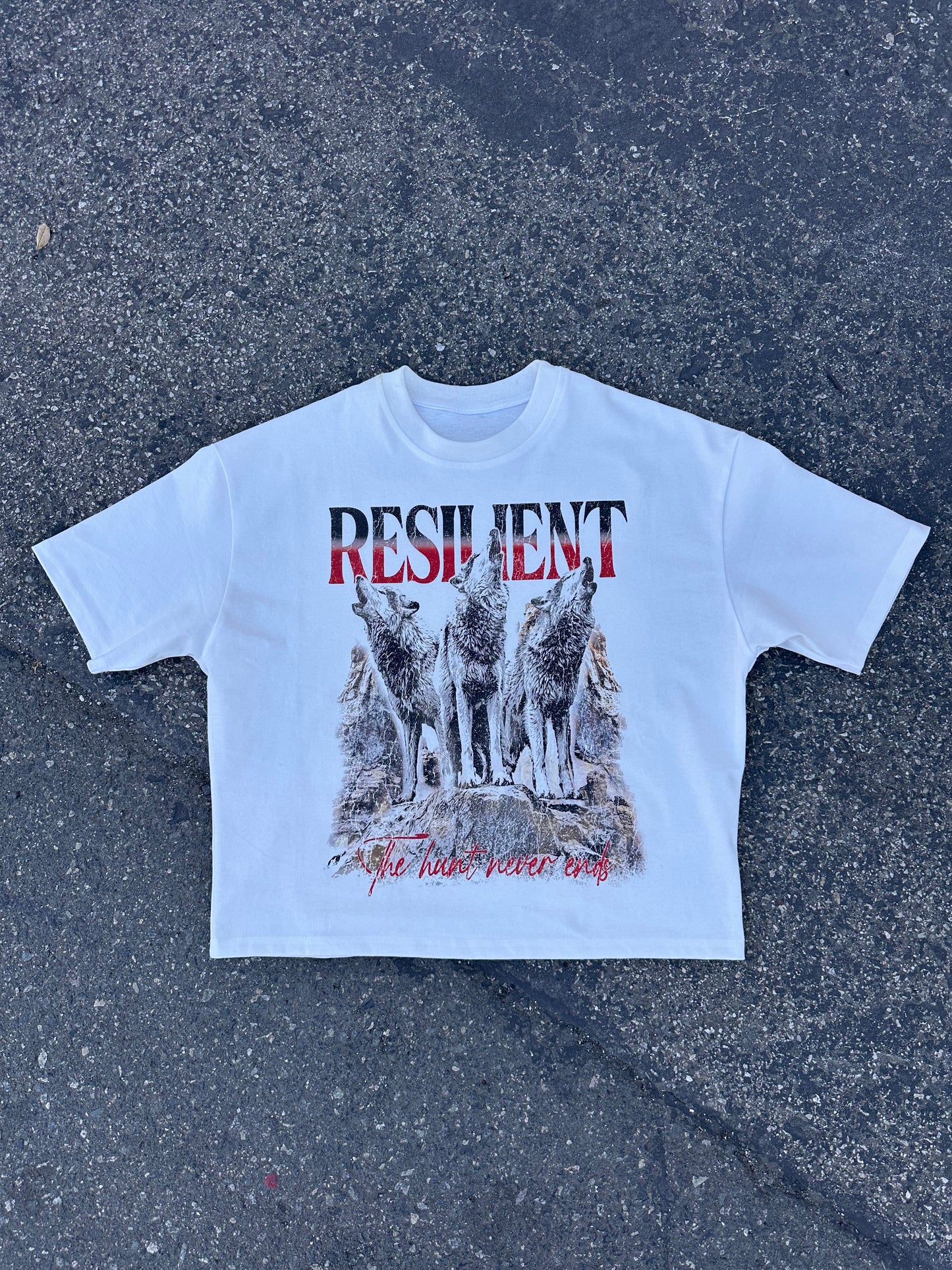 The Hunt Never Ends T