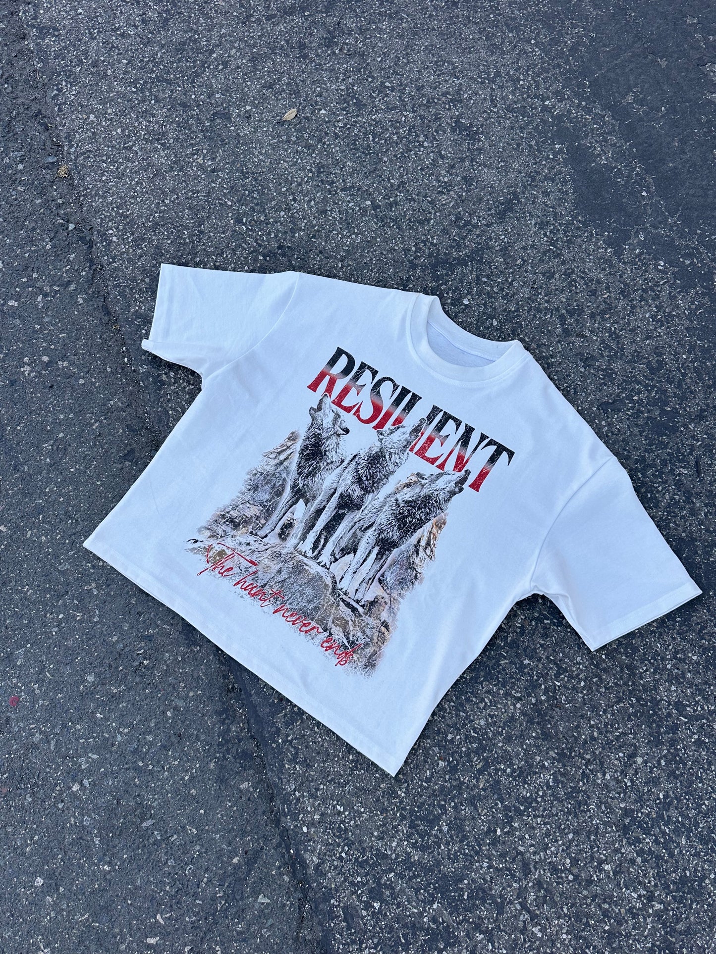 The Hunt Never Ends T